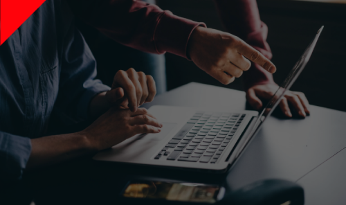 Government & Public Sector